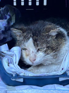 WhatsApp Image 2026-04-07 at 10.13.44